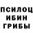 Галлюциногенные грибы Psilocybine cubensis 14. Rammstein