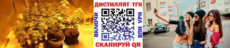 ТГК концентрат магазин Вилюйск